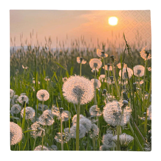 Lunchservietten „Dandelion Clock“, 33x33 cm, 3-lagig, Home Fashion®, 20 Stück