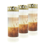 BOLSIUS-Motivkerze "Feld", 75/200 mm, Brenndauer ca. 70h, Lieferumfang 3 Stück