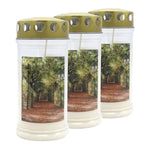 JEKA-Motivkerze "Baum-Allee", 100% Pflanzenöl, 75/170 mm, Brenndauer bis zu 4 Tage, Lieferumfang 3 Stück, Grabkerzen