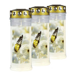 JEKA-Motivkerze "Schmetterling", 100% Pflanzenöl, 75/215 mm, Brenndauer bis zu 7 Tage, Lieferumfang 3 Stück, Grabkerzen