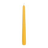 12 CLASSIC Spitzkerzen Natur, 250/23 mm, WENZEL, 8h