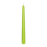 12 CLASSIC Spitzkerzen Limone, 250/23 mm, WENZEL, 8h