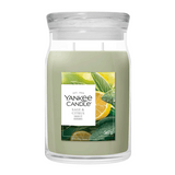 Duftkerze im Glas Sage & Citrus, 567 g, YANKEE CANDLE, Brenndauer bis 80h