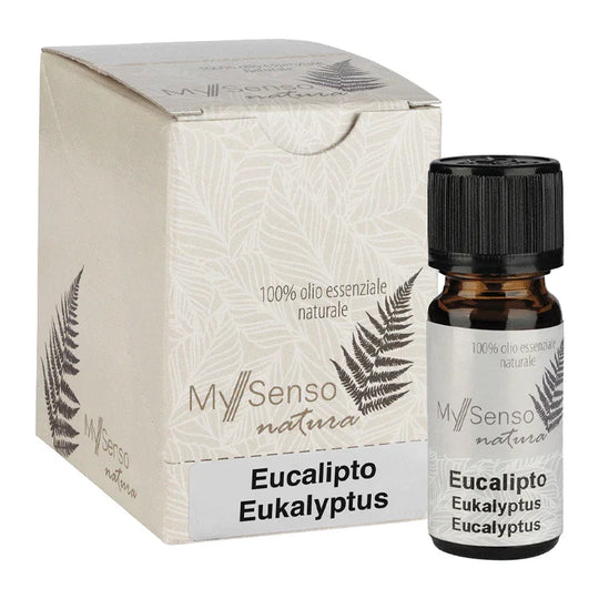 Ätherisches Duftöl, Eucalyptus, My Senso Natura, 100% natürlich, 10 ml