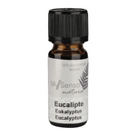 Ätherisches Duftöl Eucalyptus, My Senso Natura, 100% natürlich, 10 ml
