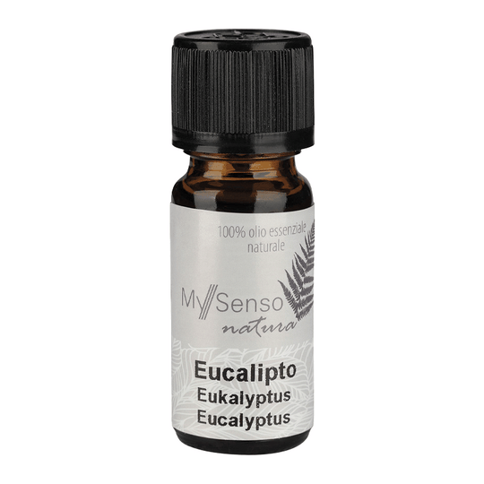 Ätherisches Duftöl Eucalyptus, My Senso Natura, 100% natürlich, 10 ml