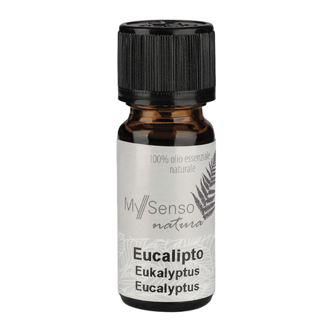 Ätherisches Duftöl Eucalyptus, My Senso Natura, 100% natürlich, 10 ml