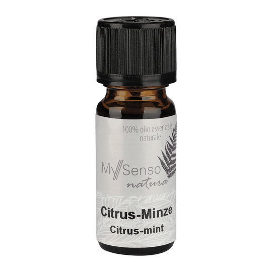 Ätherisches Duftöl Zitrus-Minze, My Senso Natura, 100% natürlich, 10 ml