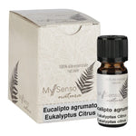 Ätherisches Duftöl Eucalyptus Citrus, My Senso Natura, 100% natürlich, 10 ml