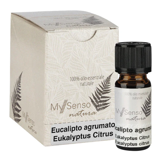 Ätherisches Duftöl, Eucalyptus Citrus, My Senso Natura, 100% natürlich, 10 ml