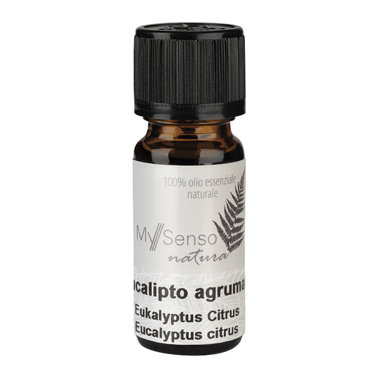 Ätherisches Duftöl Eucalyptus Citrus, My Senso Natura, 100% natürlich, 10 ml