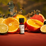 Ätherisches Duftöl Eucalyptus Citrus, My Senso, 100% natürlich, 10 ml