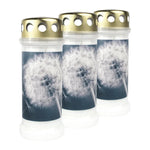 BOLSIUS-Motivkerze "Pusteblume", 67/173 mm, Brenndauer ca. 60h, Lieferumfang 3 Stüc