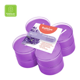 Duft-Maxilichter, Französischer Lavendel, True Scents, BOLSIUS, Ø60 mm, Brenndauer ca. 8h, 8 Stück pro Verpackung