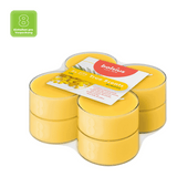 Duft-Maxilichter, Mimose, True Scents, BOLSIUS, Ø60 mm, Brenndauer ca. 8h, 8 Stück pro Verpackung