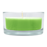 Glasschale Outdoor mit Dochtkerze, Outdoor-Kerze, Farn, WENZEL, 150/80 mm, Brenndauer ca. 20h