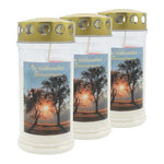 JEKA-Motivkerze "Baumpaar", 100% Pflanzenöl, 75/170 mm, Brenndauer bis zu 4 Tage, Lieferumfang 3 Stück, Grabkerzen