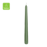Spitzkerzen, Olivgrün, BOLSIUS Essentials, 24/245 mm, Brenndauer ca. 7h, 4 Stück pro Verpackung - luterna.de