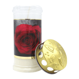 MEMORIAM-Motivkerze „Gold Rose", Nr. 417, AETERNA, mit Golddeckel, 75/170 mm, 30% Ölgehalt, Brenndauer 4 Tage, Lieferumfang 3 Stück - luterna.de