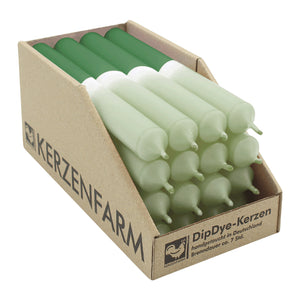 DIP DYE Stabkerzen aus Paraffin, 180/22 mm, Salbei-Pinie, KERZENFARM HAHN, Brenndauer ca. 7h, 16 Stück pro Verpackung