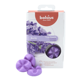 TRUE SCENTS WAX MELTS, Lavender, Lavendel, Duftschmelzblüten von BOLSIUS, Duftdauer ca. 25h, 6 Stück pro Verpackung - luterna.de