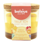 TRUE JOY, Sunny Edition, Duftkerze im Glas, Spring Blossom, mit veganem Wachs, BOLSIUS, 66/83 mm, Brenndauer ca. 21h